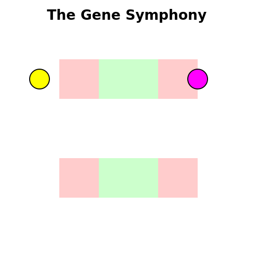 Introns, Exons, Start and Stop Site - DrawGPT