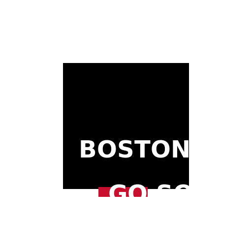 Boston Hoodie - DrawGPT