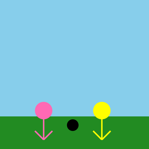 Two beautiful girls playing football - DrawGPT