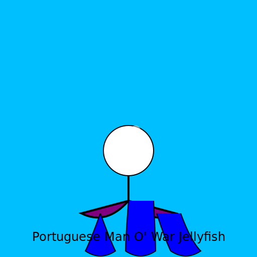 Portuguese Man O' War Jellyfish - DrawGPT