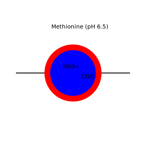 Zwitterionic Methionine - DrawGPT