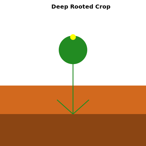 Deep Rooted Crop - DrawGPT