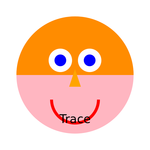 Picture of a guy named Trace - DrawGPT