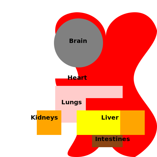 Organ Symphony - DrawGPT