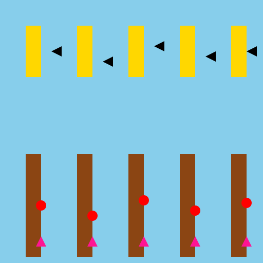 A Landscape with Trees, Birds, Fruits, Flowers, and Crayon Pens - DrawGPT