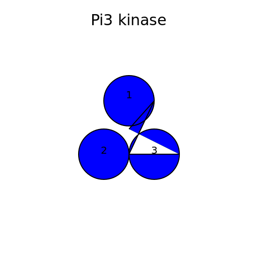 Pi3 kinase - DrawGPT