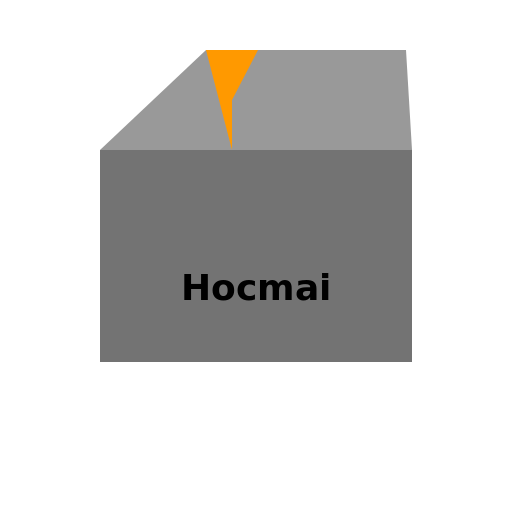 Lighter with Hocmai Text - DrawGPT