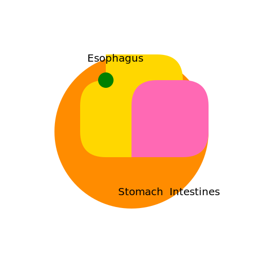 Digestive System - DrawGPT