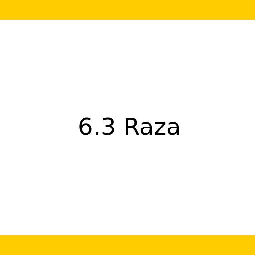 6.3 Raza - DrawGPT