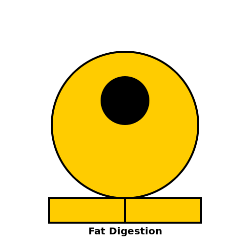 Fat Digestion Diagram - DrawGPT