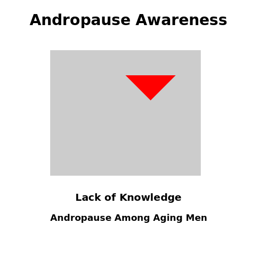 Addressing Andropause Knowledge Gap - DrawGPT