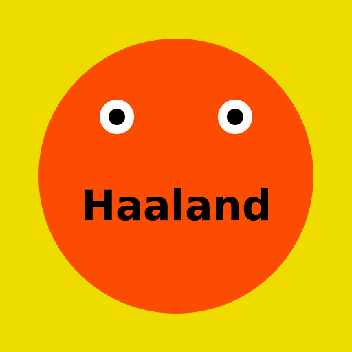 Haaland - DrawGPT