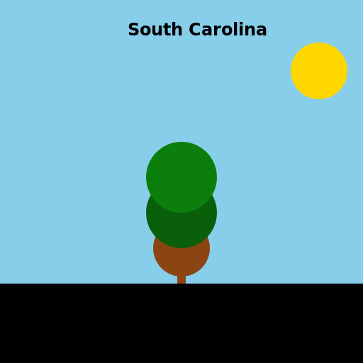Map of South Carolina - DrawGPT
