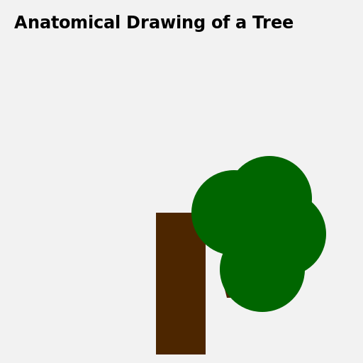 Anatomical Drawing of a Tree - DrawGPT