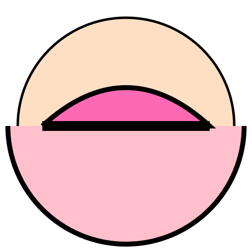 Realistic Paige Spiranic - DrawGPT