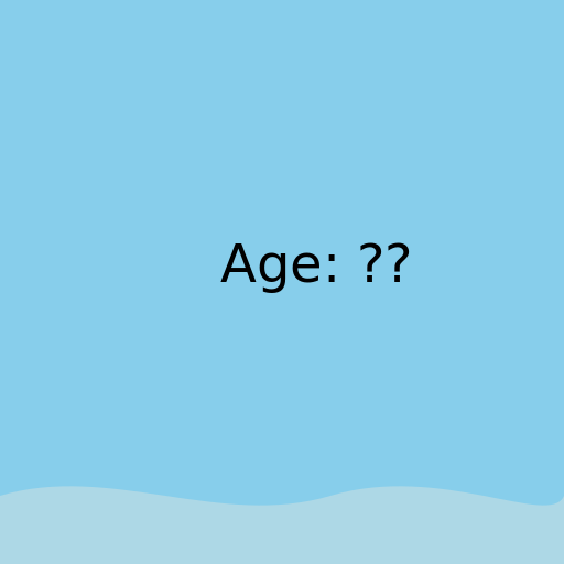 The Age of the Amur River - DrawGPT