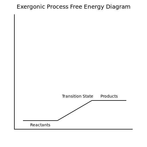 Exergonic Process Free Energy Diagram - DrawGPT