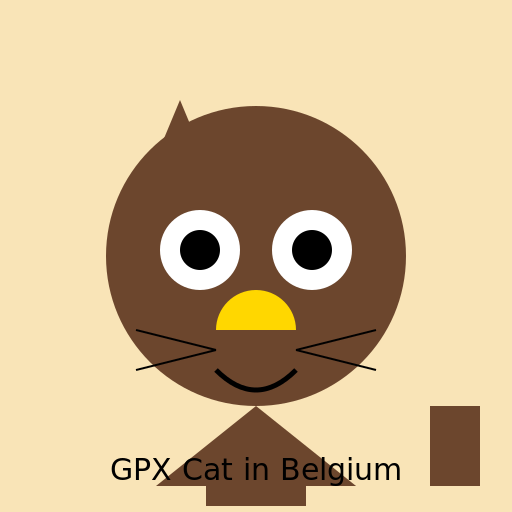 Gpx Cat in Belgium - DrawGPT
