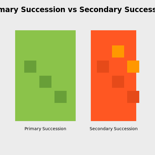 Primary Succession vs Secondary Succession - DrawGPT