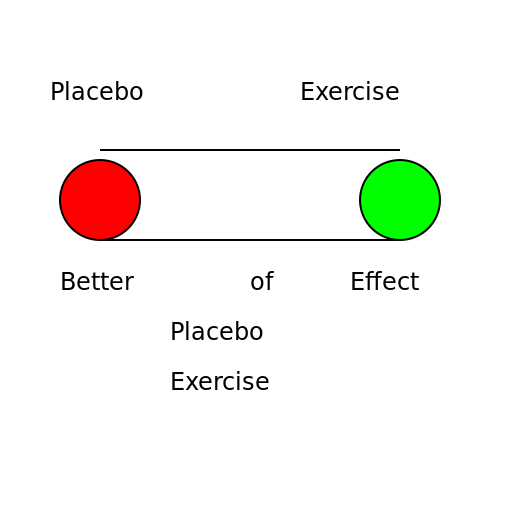 The Placebo Effect of Exercise - DrawGPT