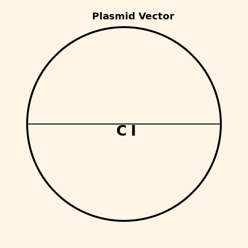 Plasmid Vector under Chemical Induction - DrawGPT