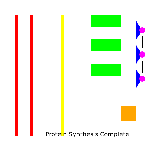 Protein Synthesis Extravaganza! - DrawGPT