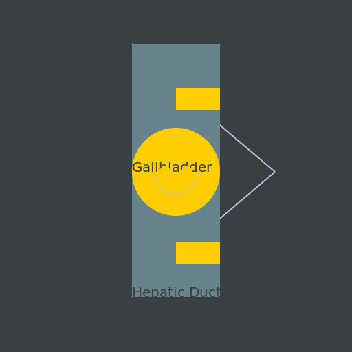 Biliary Tree Anatomy - AI Prompt #11057 - DrawGPT