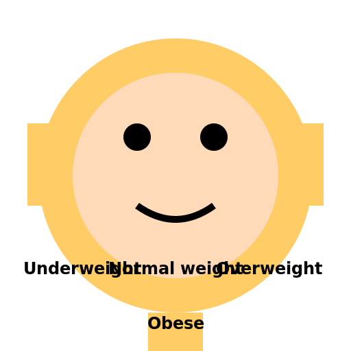 What is your Body Mass Index (BMI)? - DrawGPT