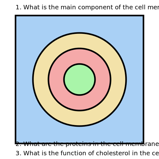Cell Membrane Structure - DrawGPT