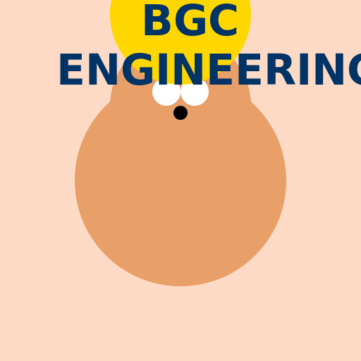 The Fox in the Hard Hat with the BGC Engineering Logo - DrawGPT