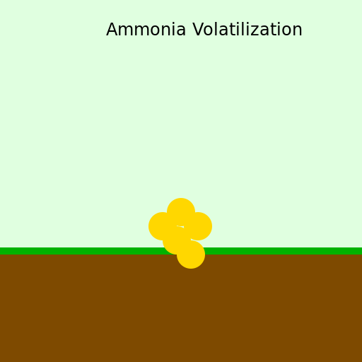 Ammonia Volatilization from Soil - DrawGPT