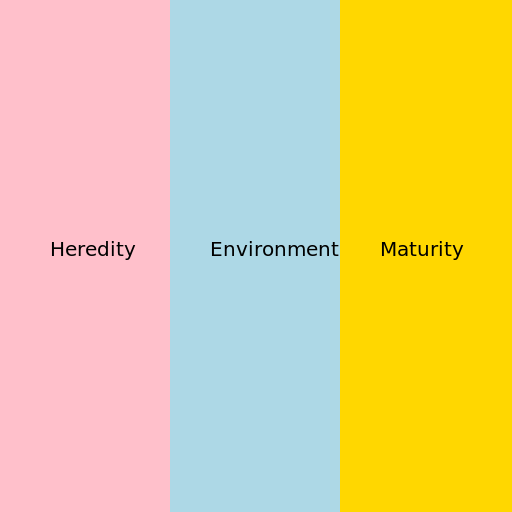 Factors Influencing Heredity, Environment, and Maturity - DrawGPT