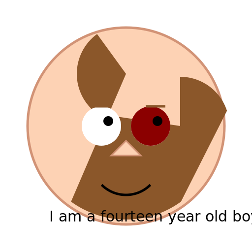 Fluffy Brown Hair and Brown Eyes - DrawGPT