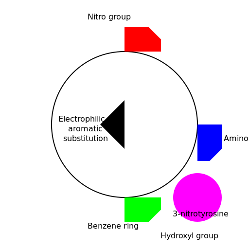 preparation of 3-nitrotyrosine - DrawGPT