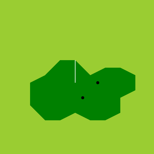 Map of Ireland in Isometric Proportions - DrawGPT