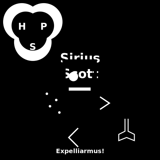 Harry Potter Inspired Signature for Sirius Scott - DrawGPT