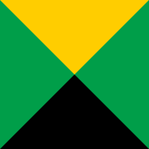 Guyana Flag - DrawGPT