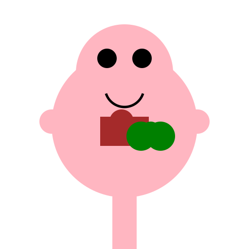 A Person with a Bag Full of Fried Chicken and Watermelon - DrawGPT