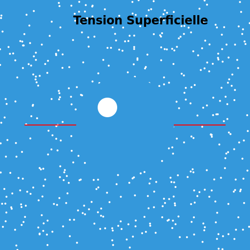 Tension Superficielle - DrawGPT