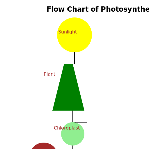 Flow Chart of Photosynthesis - DrawGPT