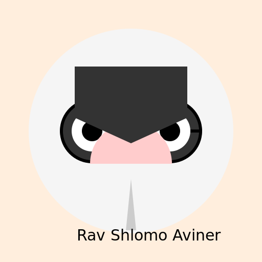 A Rav Shlomo Aviner drawing - DrawGPT