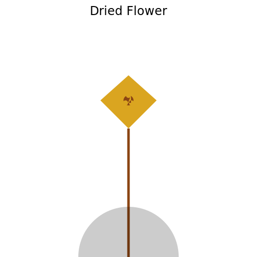 Dried Flower - DrawGPT