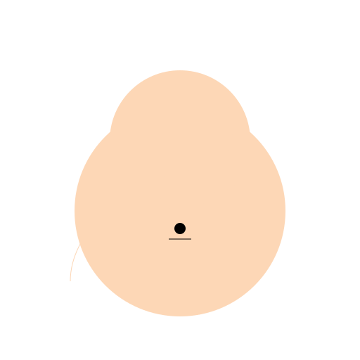 Tibetan Dog - DrawGPT