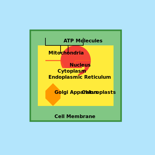 Plant Cellular Metabolism and Respiration - DrawGPT