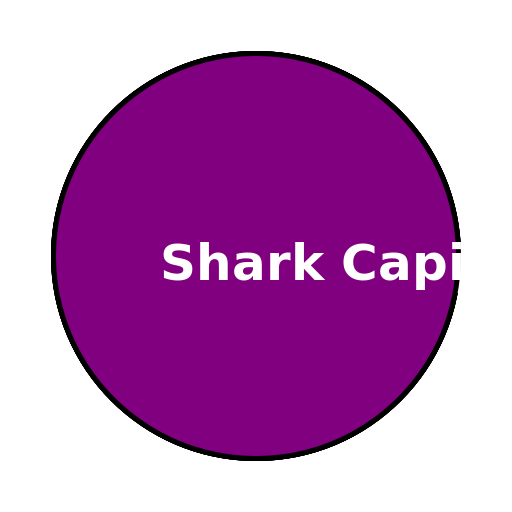 Shark Capital Stamp Designs - DrawGPT