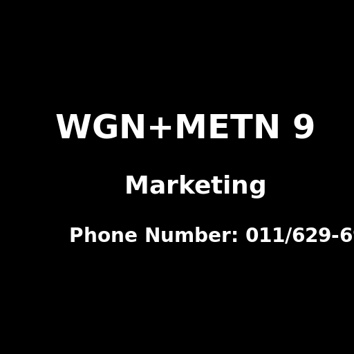 Commercial Break 1998-2000 WGN+METN 9 - DrawGPT