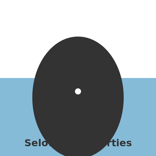 Selotten Properties Logo - DrawGPT