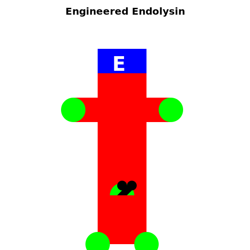 Engineered Endolysin - DrawGPT