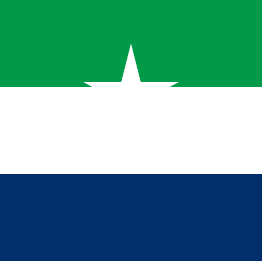 The North Star Flag - DrawGPT