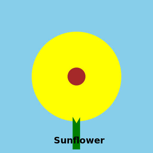 Sunny Sunflower - DrawGPT Sunny Sunflower - DrawGPT